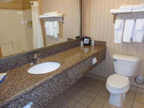 Holiday Inn Express & Suites New Buffalo, MI image 22