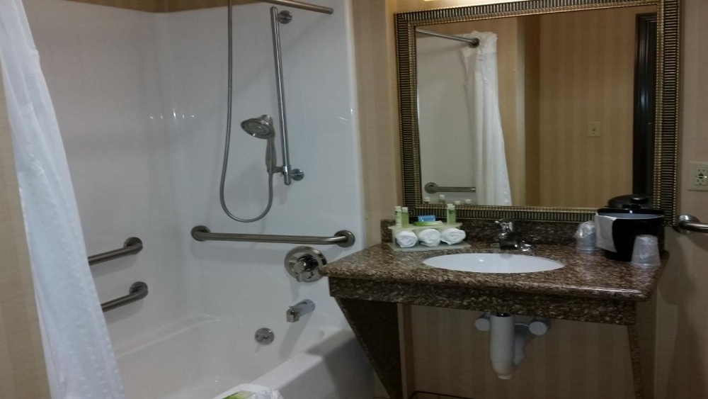 Holiday Inn Express & Suites New Buffalo, MI Main image