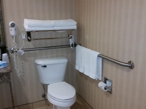 Holiday Inn Express & Suites New Buffalo, MI image 41