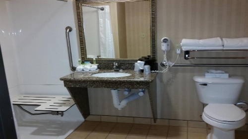 Holiday Inn Express & Suites New Buffalo, MI image 6